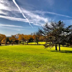 Thornden Park - Syracuse