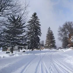 Thornden Park - Syracuse