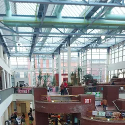 Troy Farmers' Market - Troy