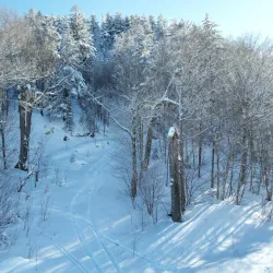 Big Tupper Ski Area - Tupper Lake
