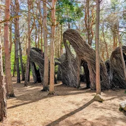 Raquette River Wild Forest - Tupper Lake