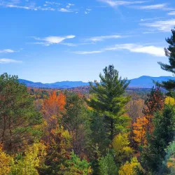 Raquette River Wild Forest - Tupper Lake