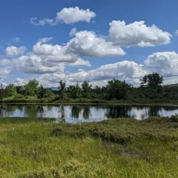 Raquette River Wild Forest - Tupper Lake