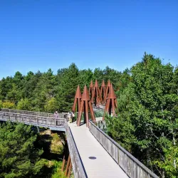 The Wild Center - Tupper Lake