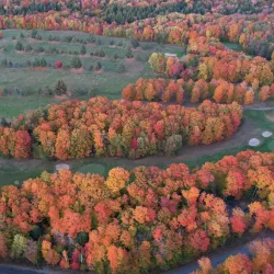 Tupper Lake - Tupper Lake