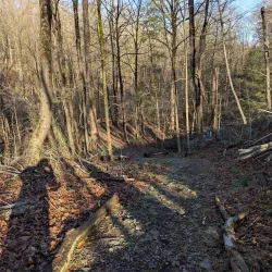 Reese Park - Uniondale