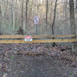 Reese Park - Uniondale