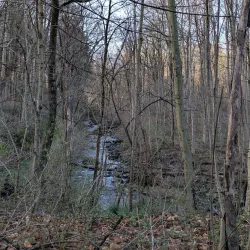 Reese Park - Uniondale