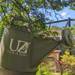 Roscoe Conkling Park - Utica