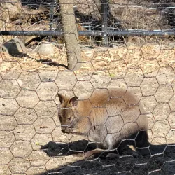 Roscoe Conkling Park - Utica