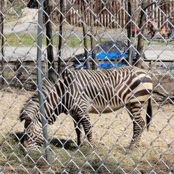 Roscoe Conkling Park - Utica