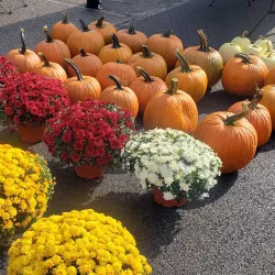 Utica Farmers Market - Utica