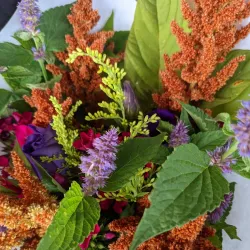 Utica Farmers Market - Utica