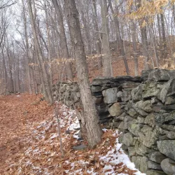 Brewster Preserve - Waccabuc