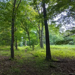 Brewster Preserve - Waccabuc