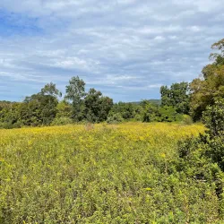 Kitchawan Preserve - Waccabuc