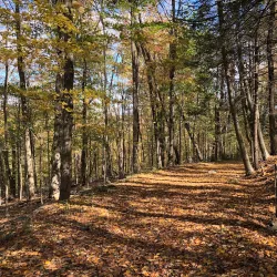 Kitchawan Preserve - Waccabuc