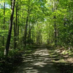 Kitchawan Preserve - Waccabuc