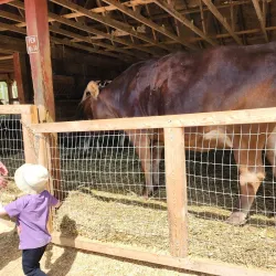 Muscoot Farm - Waccabuc