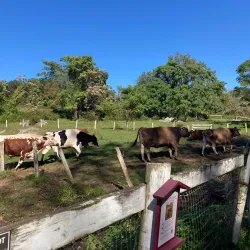 Muscoot Farm - Waccabuc