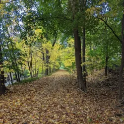 Old Croton Aqueduct Trail - Waccabuc