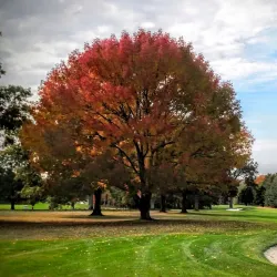 Waccabuc Country Club - Waccabuc