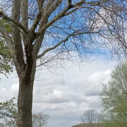 Waccabuc Country Club - Waccabuc