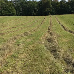 Walden Farmers Market - Walden