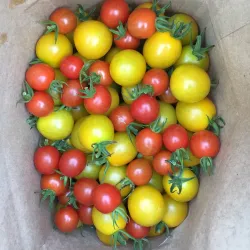 Walden Farmers Market - Walden