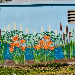 Walden Skatepark - Walden