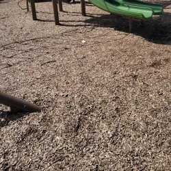 Thompson Park - Watertown