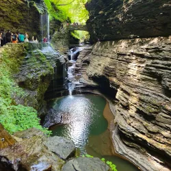 Watkins Glen State Park - Watkins Glen