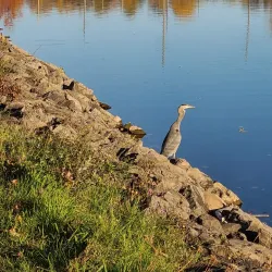 Erie Canal Trail (nearby) - Webster