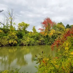 Erie Canal Trail (nearby) - Webster