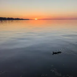 Lake Ontario Beach - Webster
