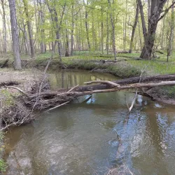 Powder Mills Park - Webster