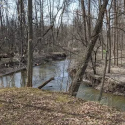 Powder Mills Park - Webster
