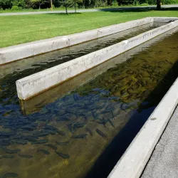 Powder Mills Park - Webster