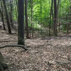 Powder Mills Park - Webster