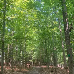 Powder Mills Park - Webster