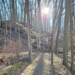 Powder Mills Park - Webster