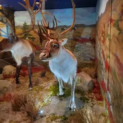 Rochester Museum & Science Center (nearby) - Webster