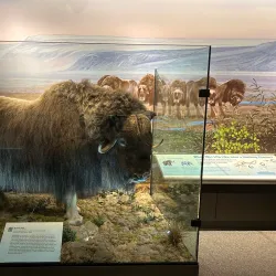 Rochester Museum & Science Center (nearby) - Webster