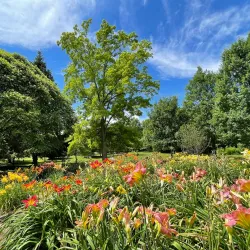 Webster Arboretum - Webster
