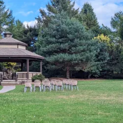 Webster Arboretum - Webster