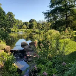 Webster Arboretum - Webster