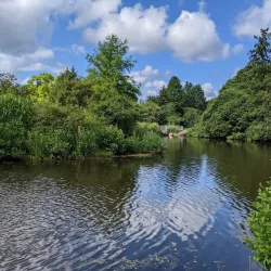 Webster Arboretum - Webster