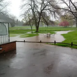 Webster Golf Club - Webster