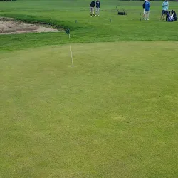 Webster Golf Club - Webster