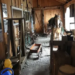 Webster Museum - Webster